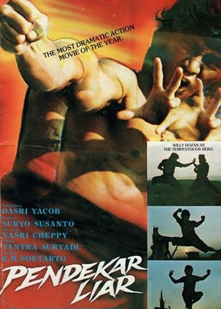 《Wild Fighter》電影海報