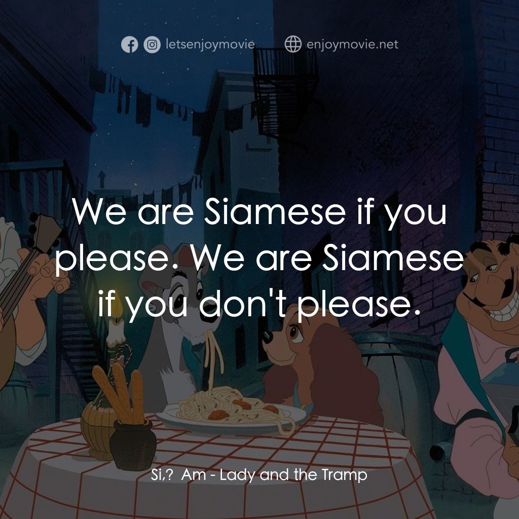 小姐與流氓經典對白：Si, Am: We are Siamese if you please. We are Siamese if you don't please.