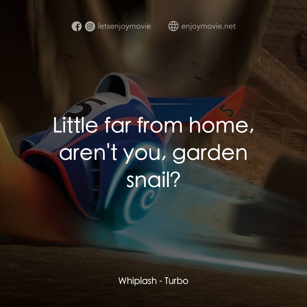 渦輪方程式電影對白：Whiplash: Little far from home, aren't you, garden snail?