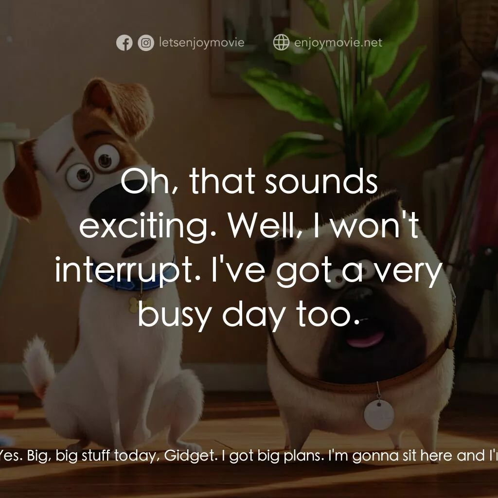 寵物當家電影對白：Gidget:  Hey, Max. Max:  Hey, Gidget. Gidget:  Any plans today? Max:  Yes. Big, b