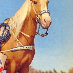 Trigger 飾演 Trigger