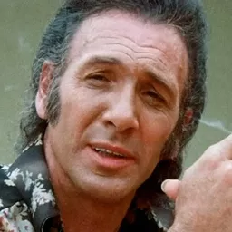 Duke Mitchell - Death Scenes 2演員 飾演Self (archive footage) (uncredited)