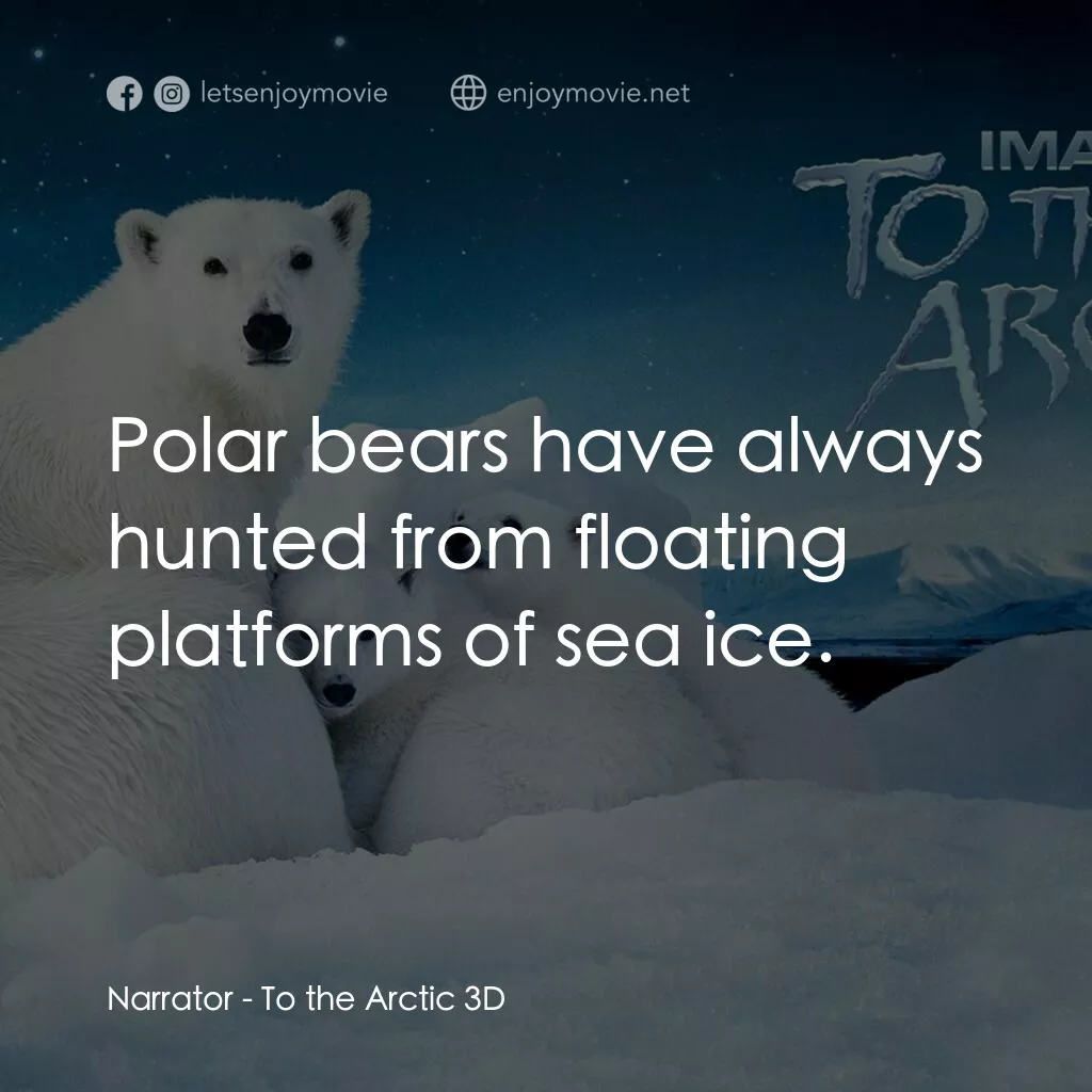 到北極去電影對白：Narrator:  Polar bears have always hunted from floating platforms of sea ice.