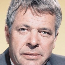 威廉·溫德姆 - 青春狂戀演員 飾演Bob Cody