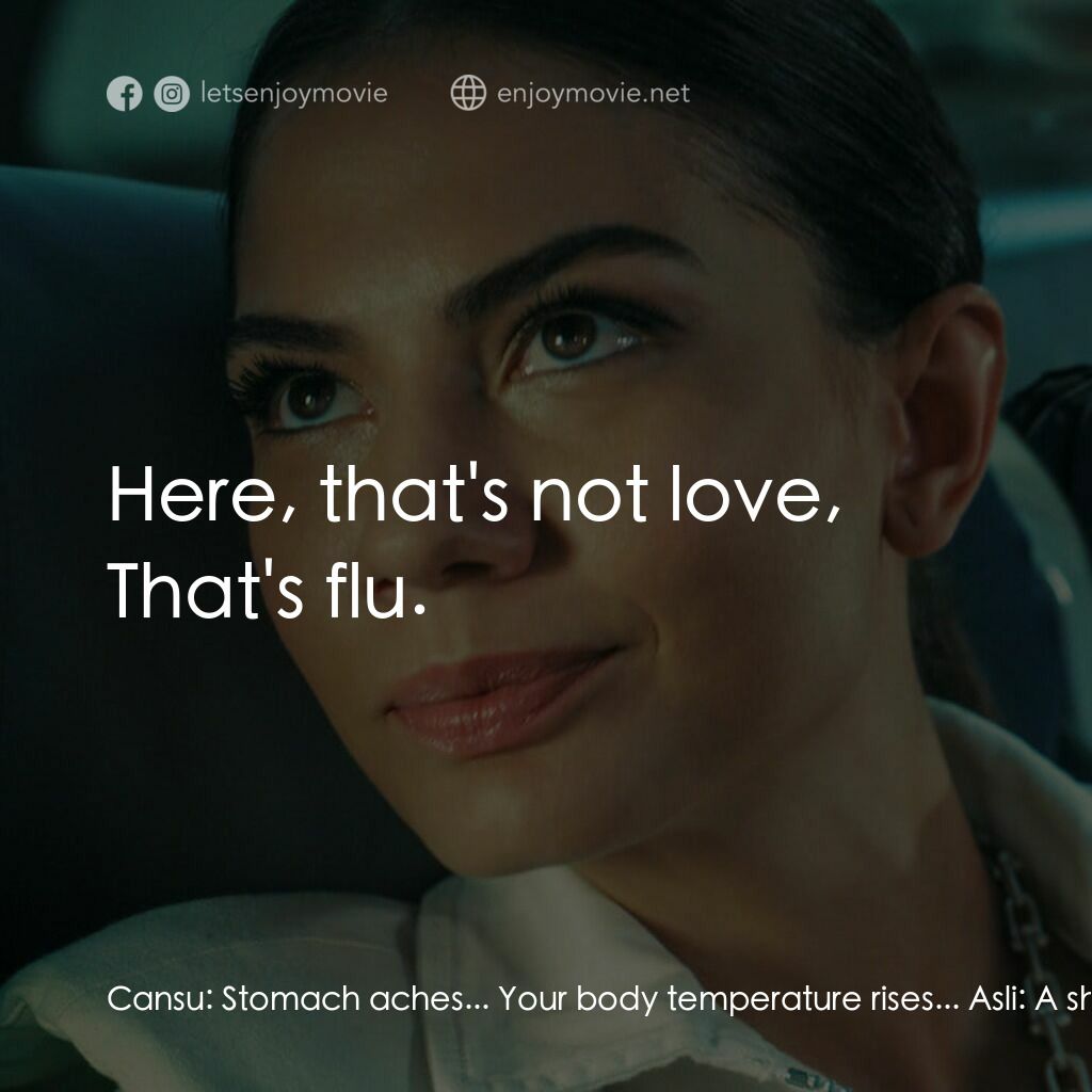 《愛的錦囊妙計》經典台詞：Cansu:  Stomach aches... Your body temperature ris ...