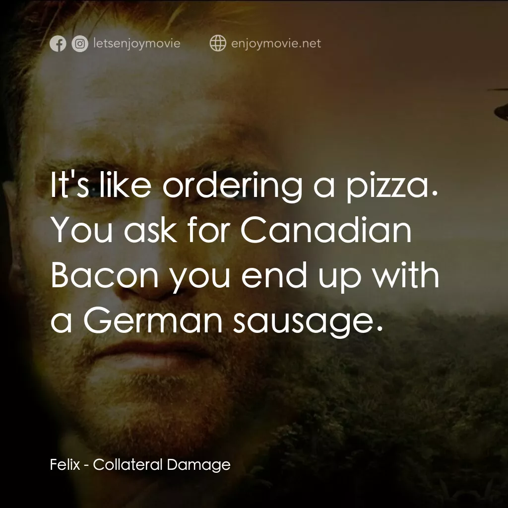 《直擊要害》經典台詞：Felix:  It's like ordering a pizza. You ask fo ...