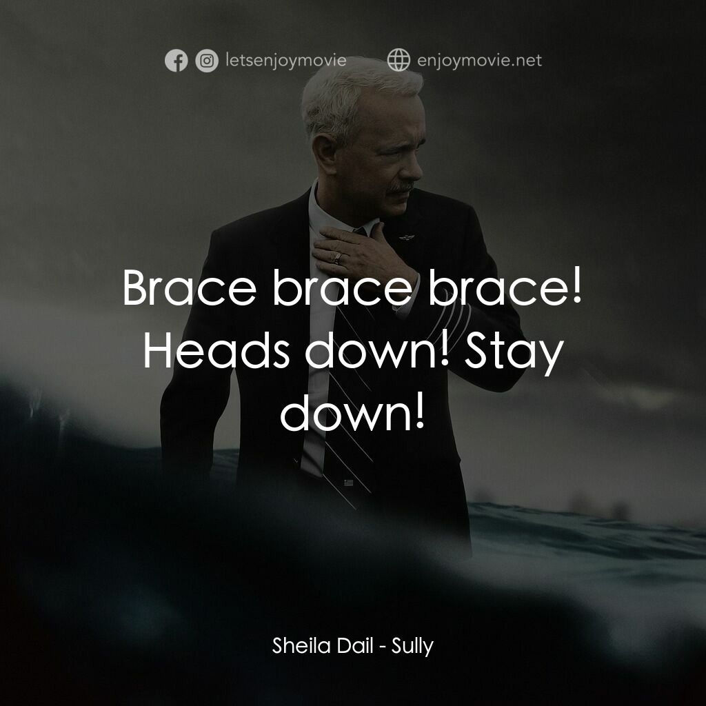 薩利機長：哈德遜奇蹟電影對白：Sheila Dail:  Brace brace brace! Heads down! Stay down!