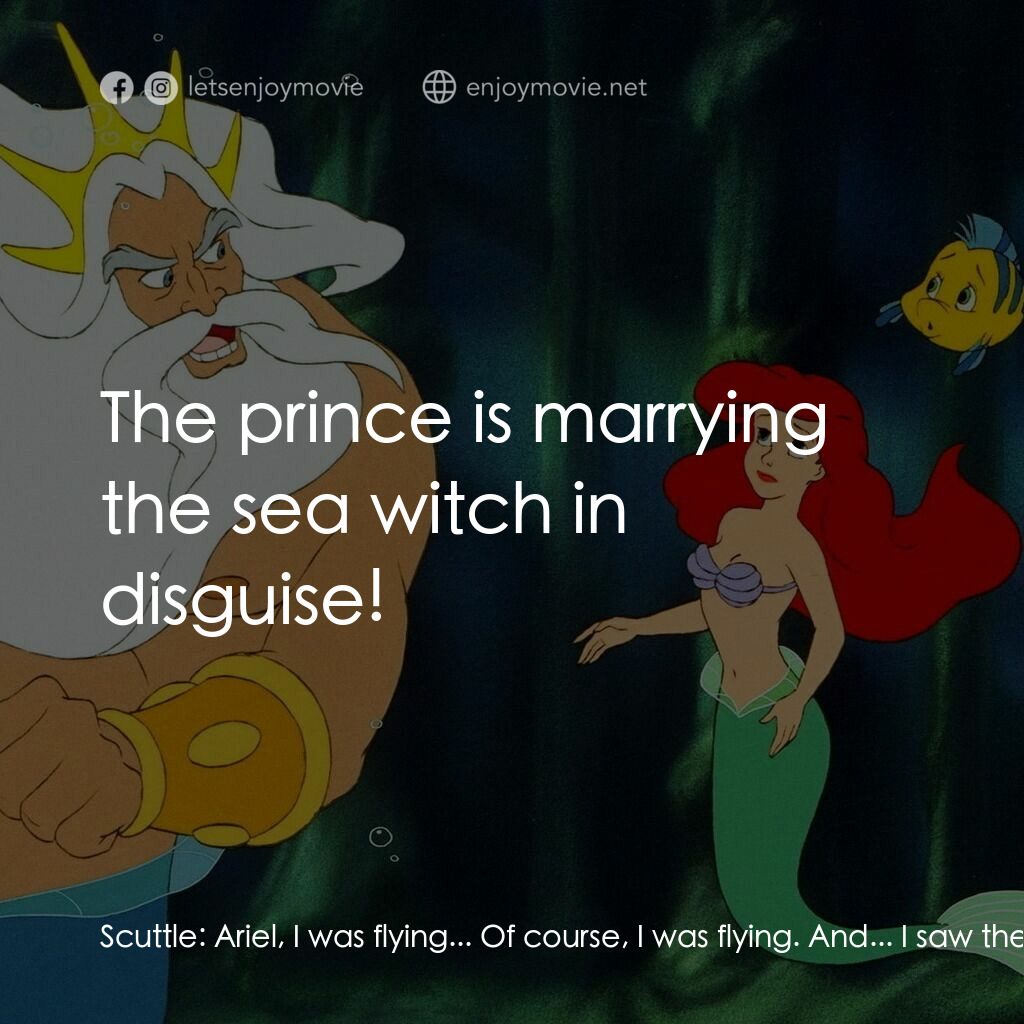 小魚仙電影對白：Scuttle:  Ariel, I was flying... Of course, I was flying. And... I saw the... The