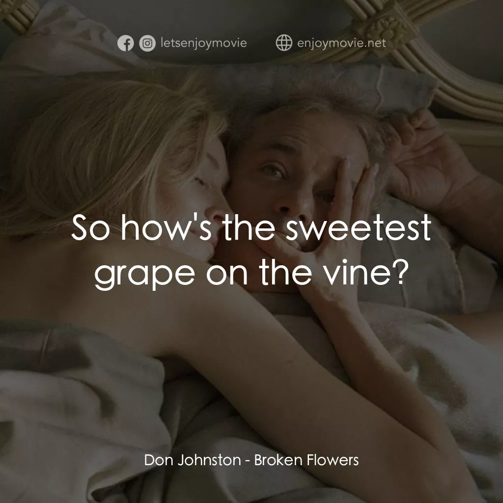 愛情，不用尋找電影對白：Don Johnston: So how's the sweetest grape on the vine?