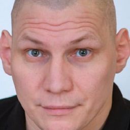 Konstantin Ignatyev 飾演 astrologer guard