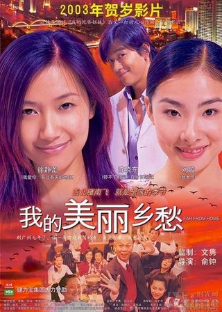 《我的美麗鄉愁》電影海報