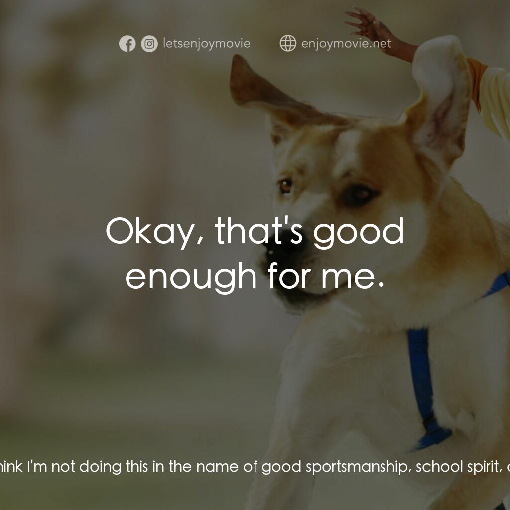 《天才寶弟的狗日子》經典台詞：Rondel:  Hey, what's this gonna cost me? Calvi ...