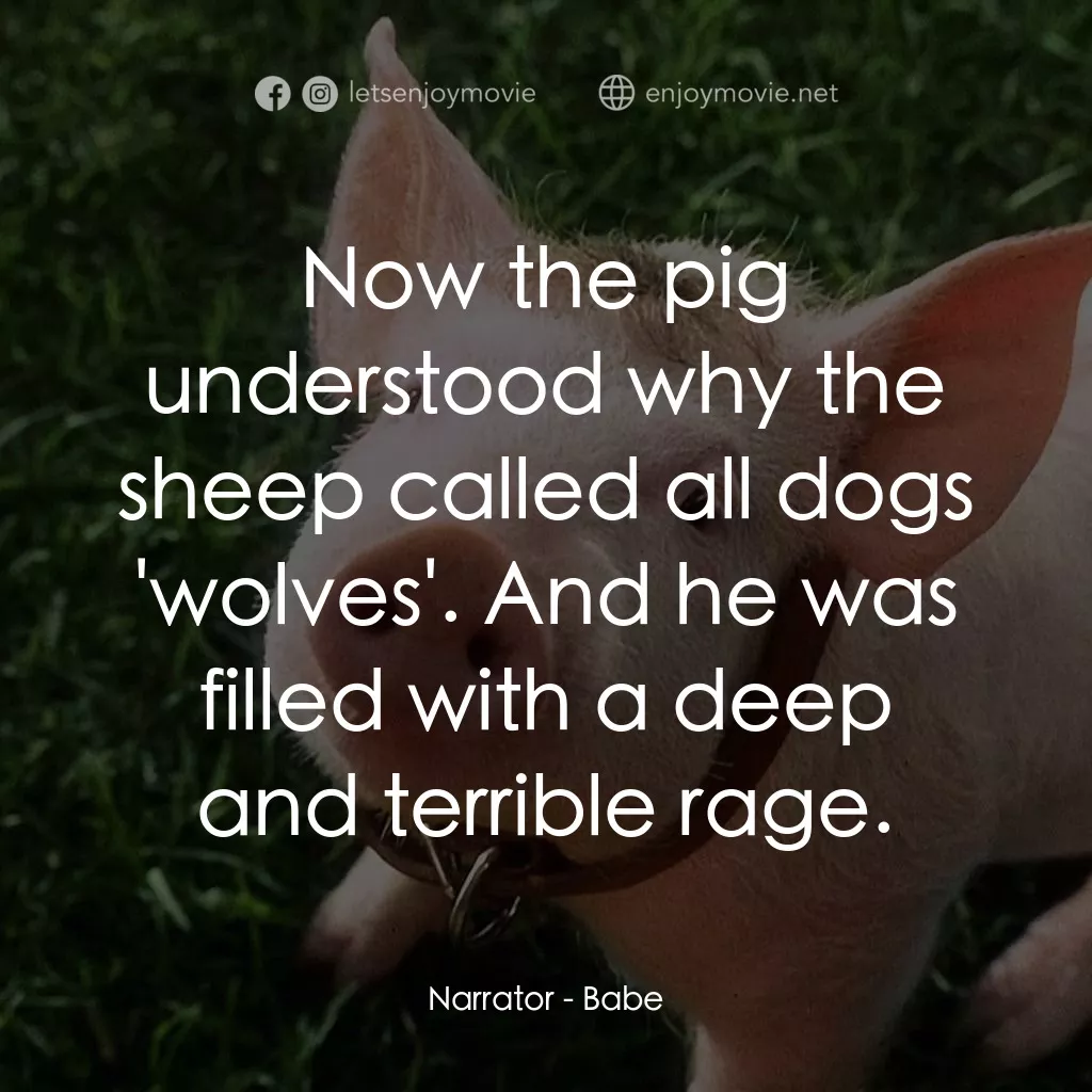 寶貝小豬嘜電影對白：Narrator: Now the pig understood why the sheep called all dogs 'wolves'. And he w