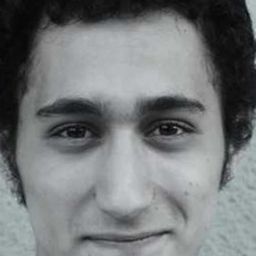 Efe Çetinel 飾演 Ali