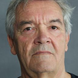 Bogdan Koca 飾演 Detective