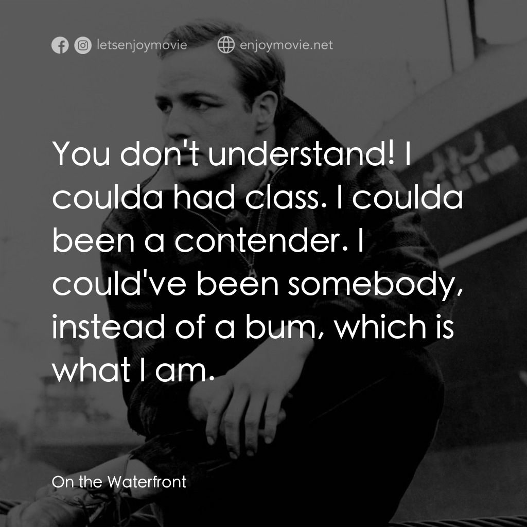 碼頭風雲經典對白：You don't understand! I coulda had class. I coulda been a contender. I could've been somebody