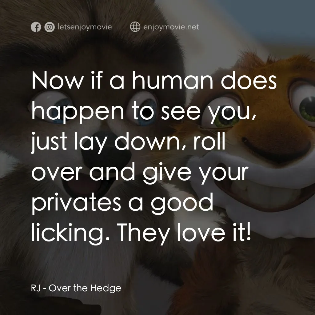 4條腿拯救隊電影對白：RJ: Now if a human does happen to see you, just lay down, roll over and give your