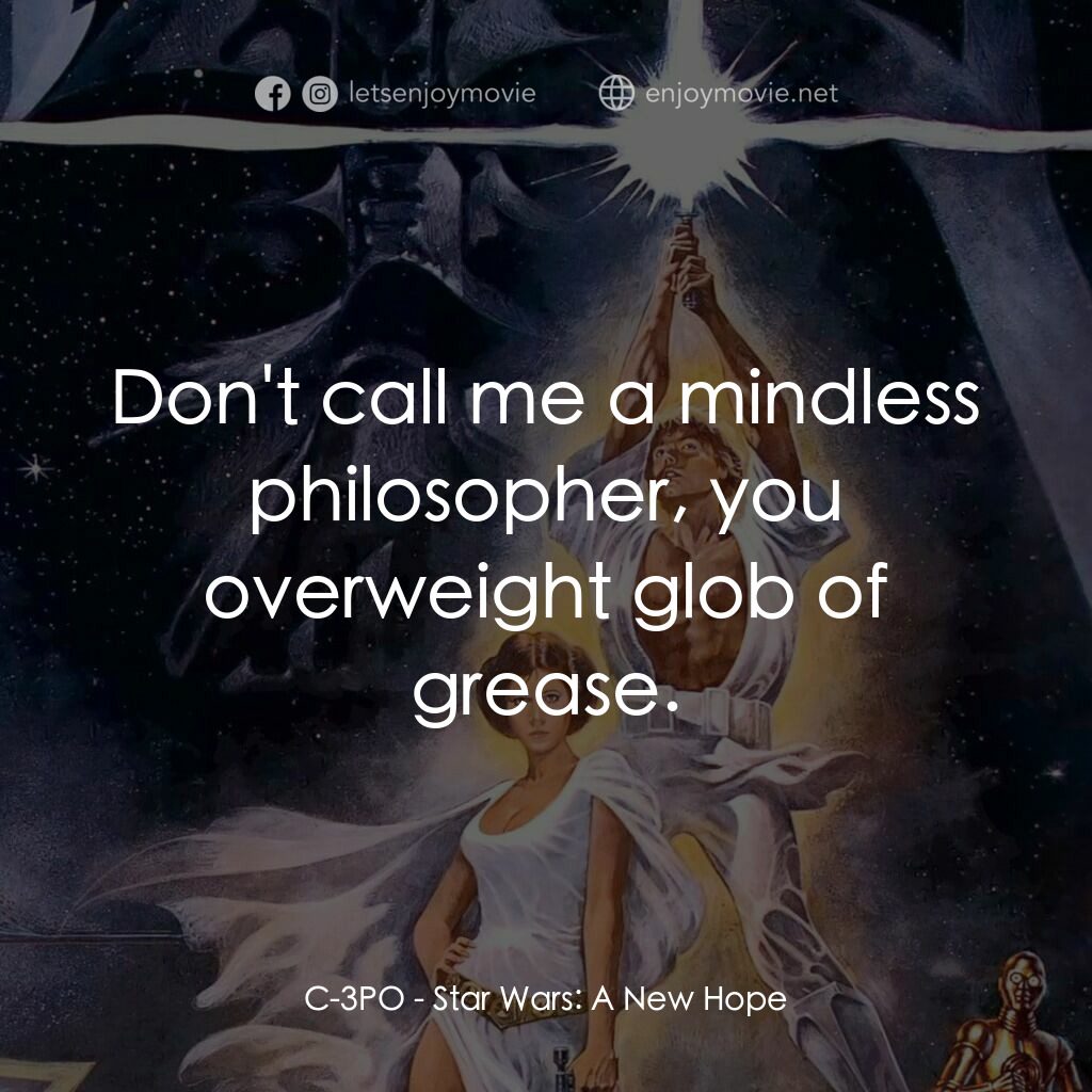 星球大戰四部曲：新的希望電影對白：C-3PO:  Don't call me a mindless philosopher, you overweight glob of grease.