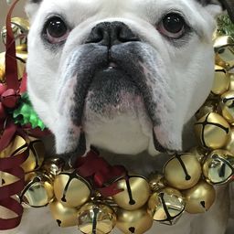 Nellie 飾演 Marvin