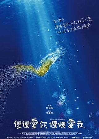電影的資料