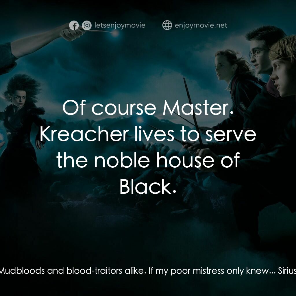 哈利波特：鳳凰會的密令電影對白：Kreacher:  Nasty brat standing there as bold as brass. Harry Potter, the boy who 