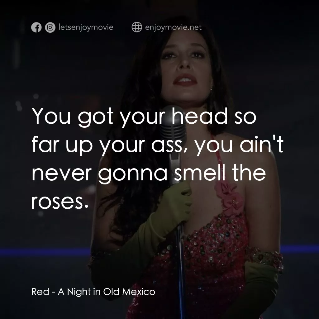 《舊墨西哥一夜》經典台詞：Red: You got your head so far up your ass, you ain ...