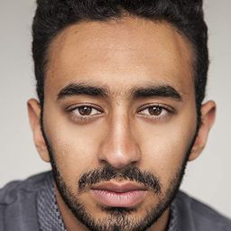 Abdul Alshareef 飾演 Another Knight