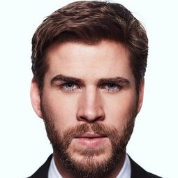 里安咸士禾夫 - 飢餓遊戲2：星火燎原 演員 飾演Gale Hawthorne