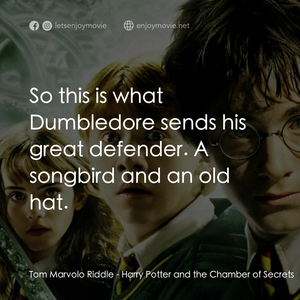 哈利波特：消失的密室電影對白：Tom Marvolo Riddle:  So this is what Dumbledore sends his great defender. A songb