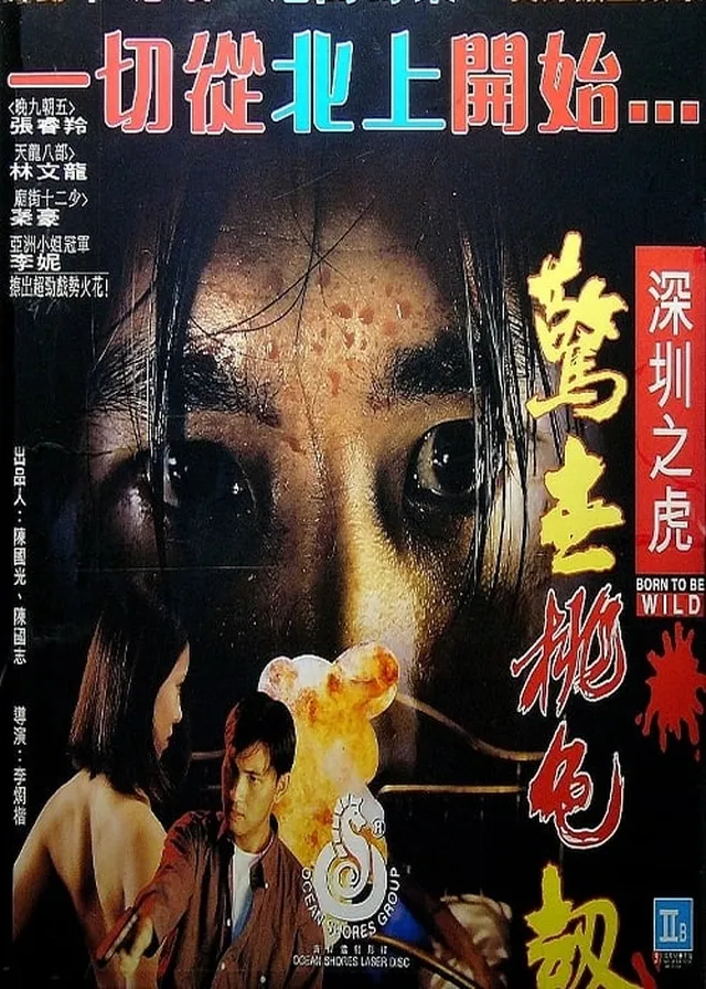 深圳之虎驚世桃色劫電影海報
