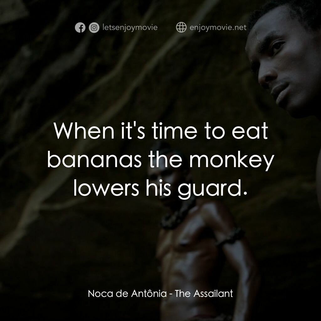 甲殼蟲電影對白：Noca de Antônia:  When it's time to eat bananas the monkey lowers his guard.