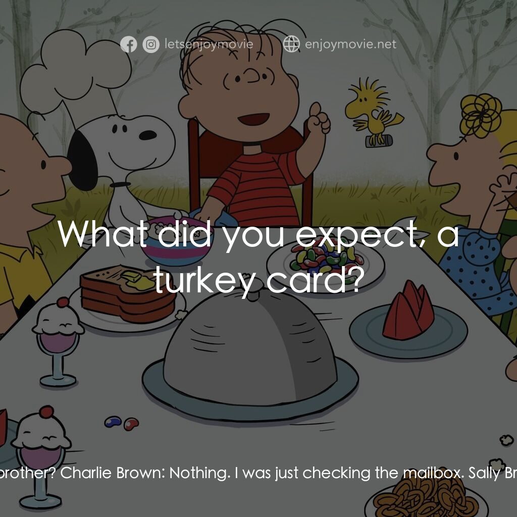 查理布朗的感恩節電影對白：Sally Brown:  What's the matter, big brother? Charlie Brown:  Nothing. I was just