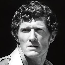 Brad Harris 飾演 Kommissar