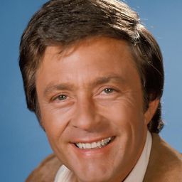 比爾·畢士比 飾演 Dr. David Bruce Banner