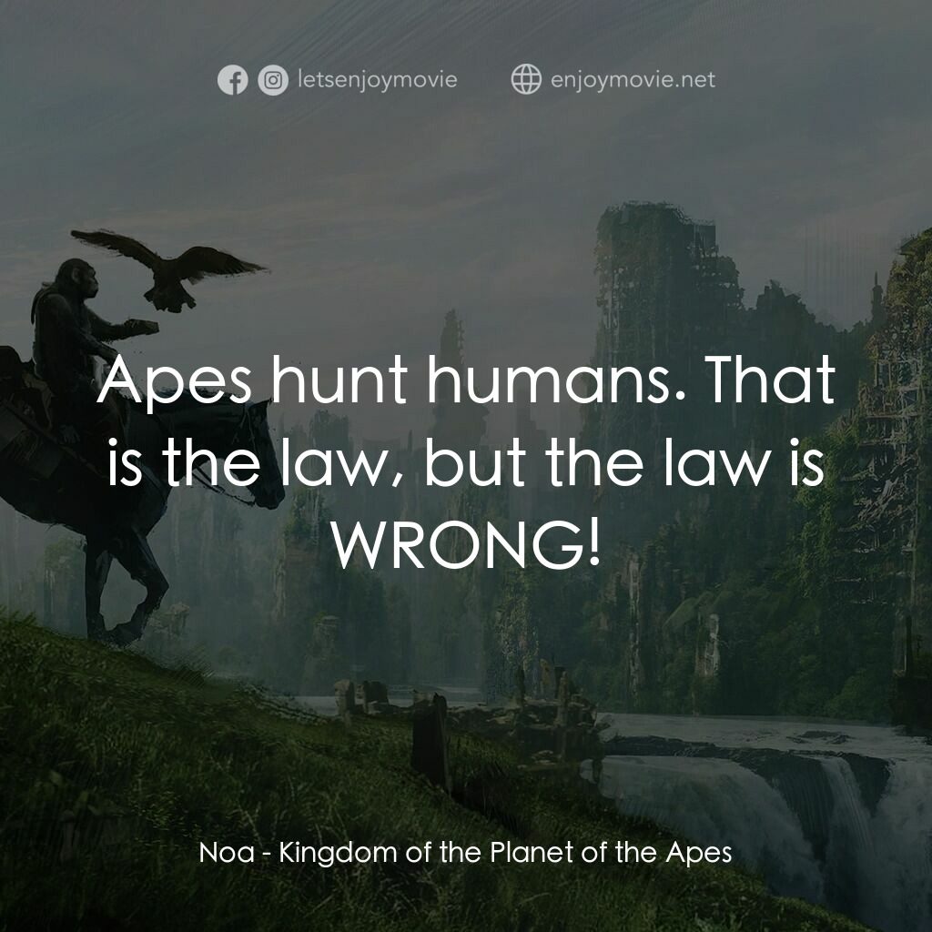 猿人爭霸戰：猩凶帝國電影對白：Noa:  Apes hunt humans. That is the law, but the law is WRONG!