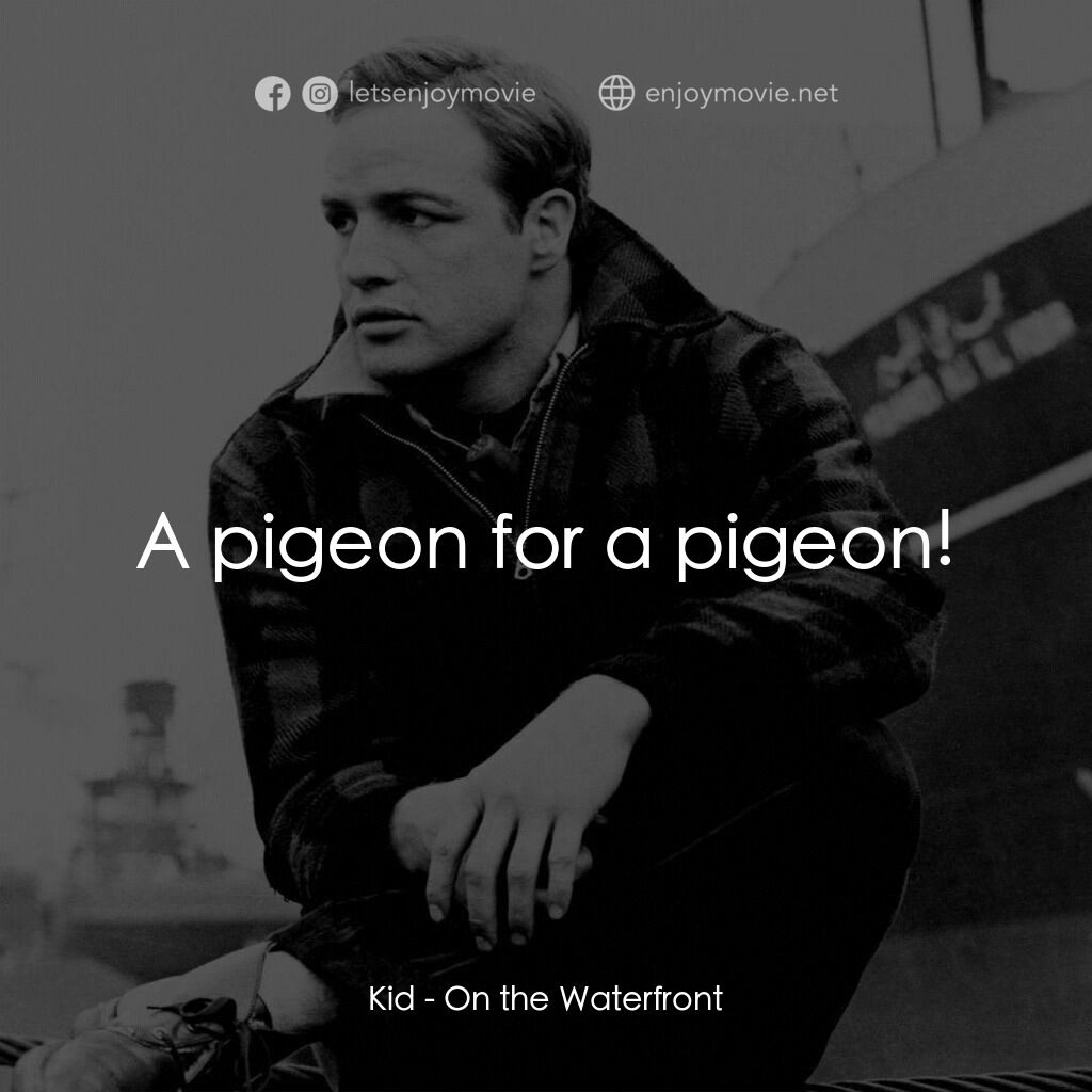 碼頭風雲電影對白：Kid:  A pigeon for a pigeon!