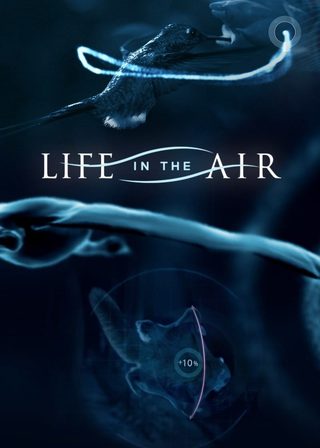 《Life in the Air》電影海報