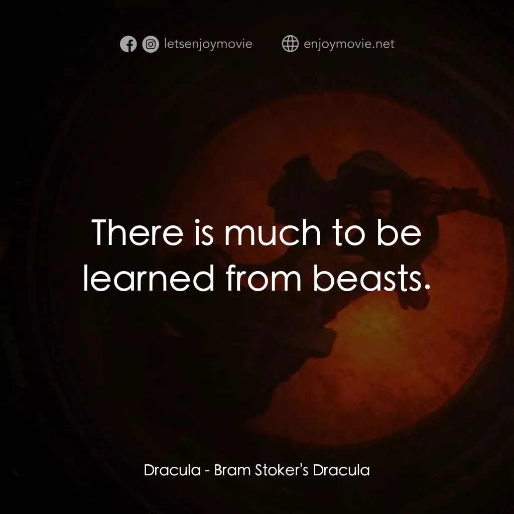 吸血鬼：真愛不死電影對白：Dracula: There is much to be learned from beasts.