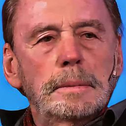 Victor Bo 飾演 Kang