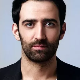 Ferit Kaya 飾演 Ali