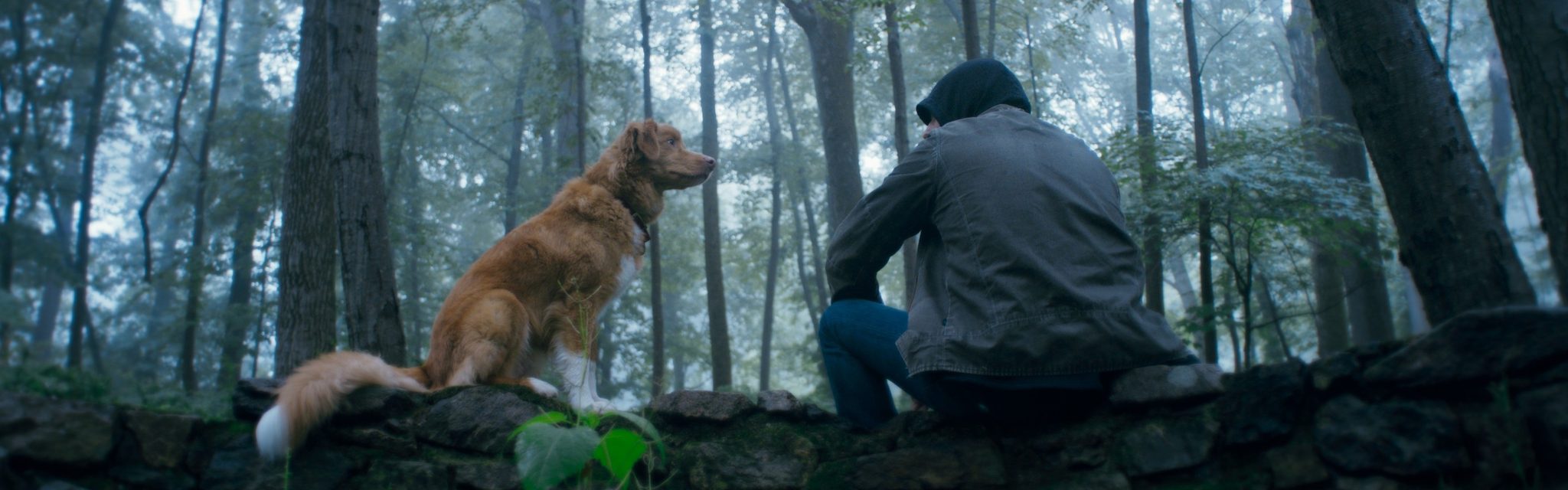 乖狗狗電影劇照