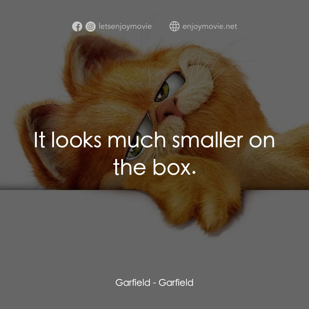 加菲貓電影對白：Garfield: It looks much smaller on the box.
