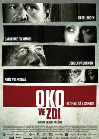 《Oko ve zdi》電影海報