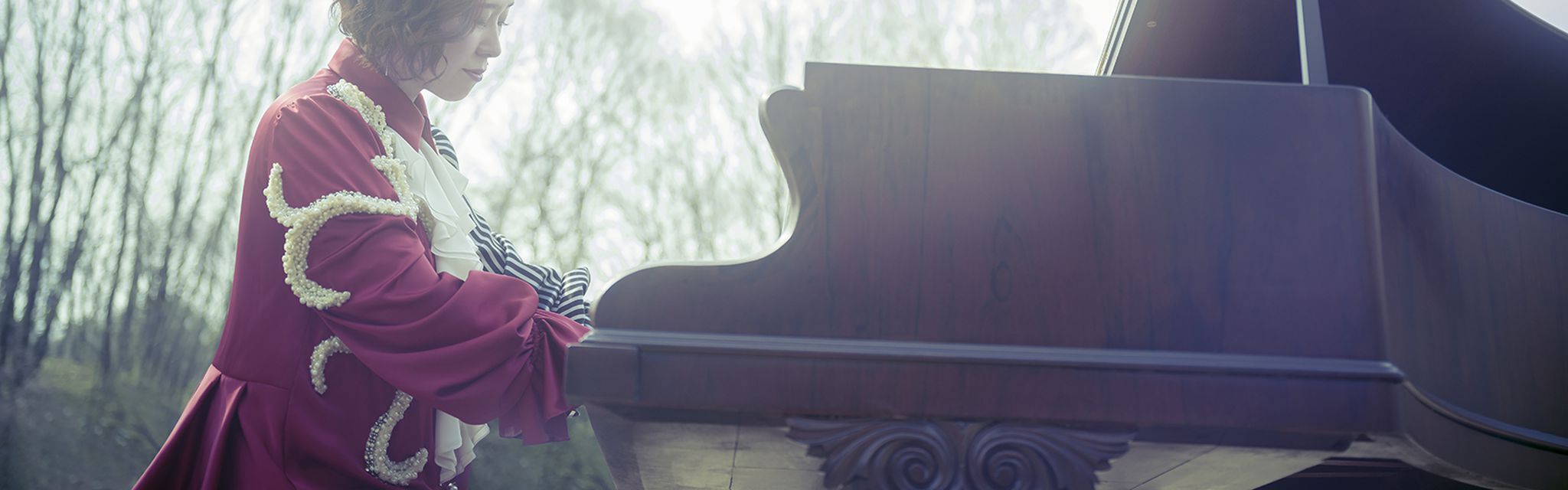 Yuki Kajiura LIVE vol.#17 ~ PARADE ~電影劇照