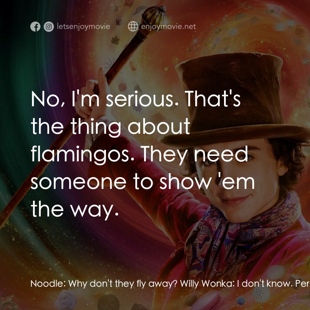 旺卡電影對白：Noodle:  Why don't they fly away? Willy Wonka:  I don't know. Perhaps they haven'