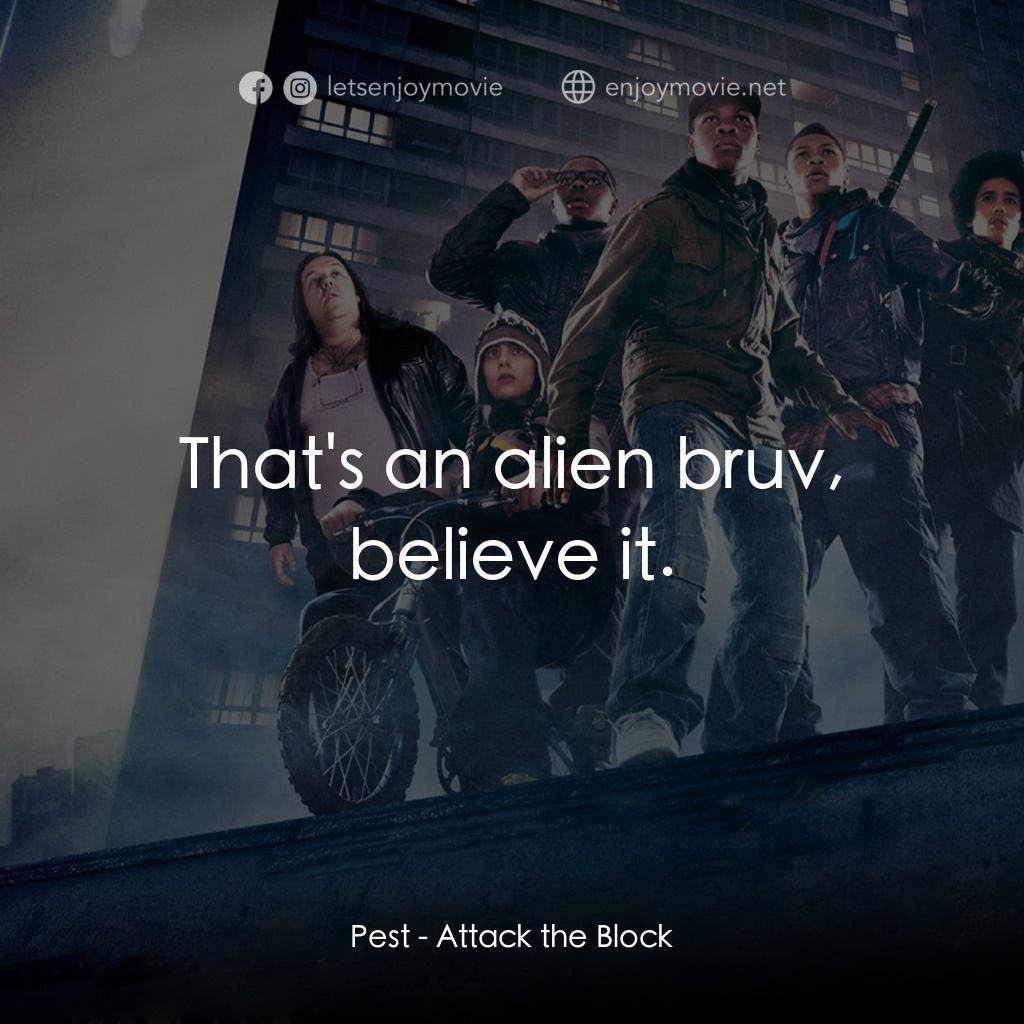 異星大作戰電影對白：Pest: That's an alien bruv, believe it.