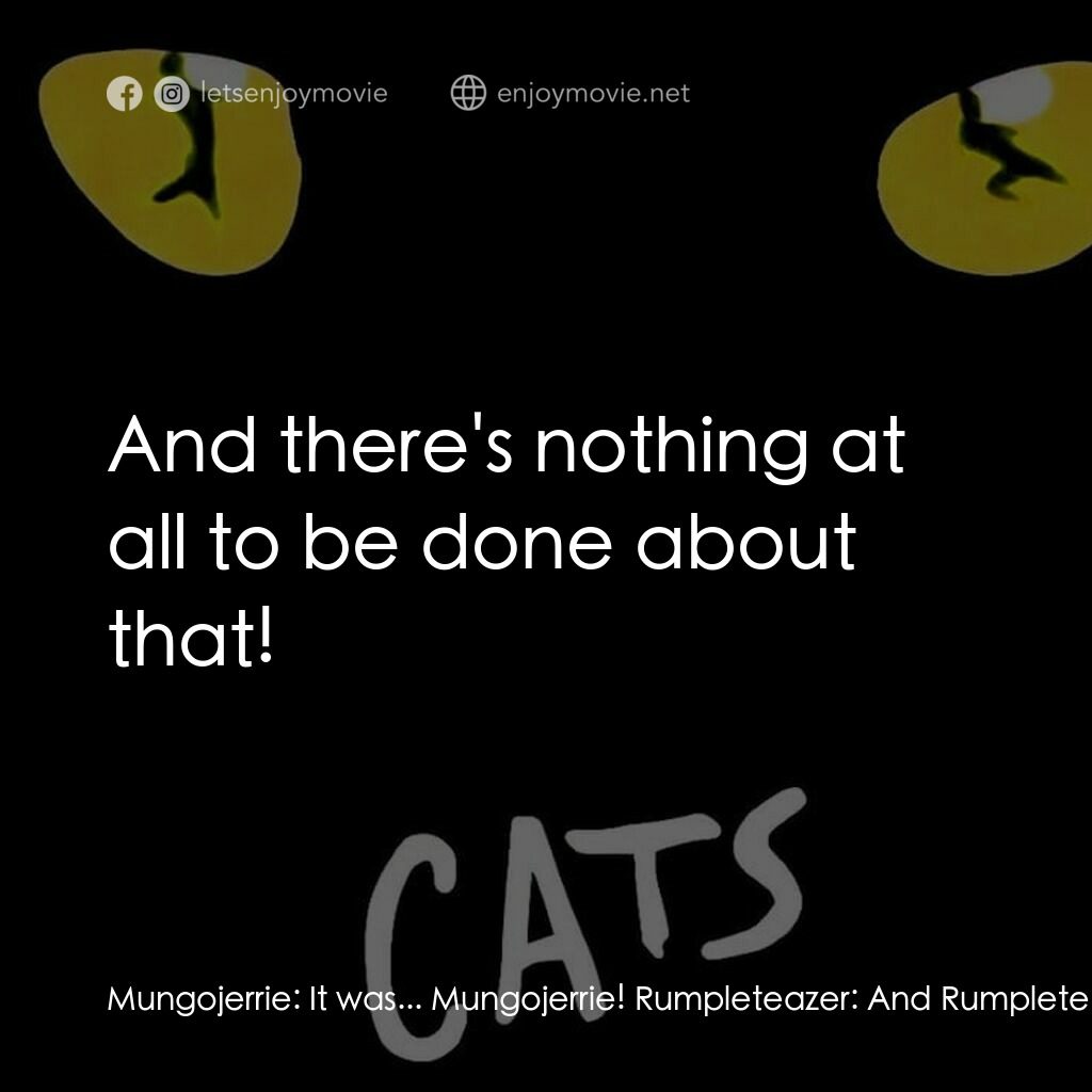 貓電影對白：Mungojerrie:  It was... Mungojerrie! Rumpleteazer:  And Rumpleteazer! Mungojerrie