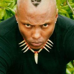 Reggie Pierre - 換命快遞 2演員 飾演Car Jacker