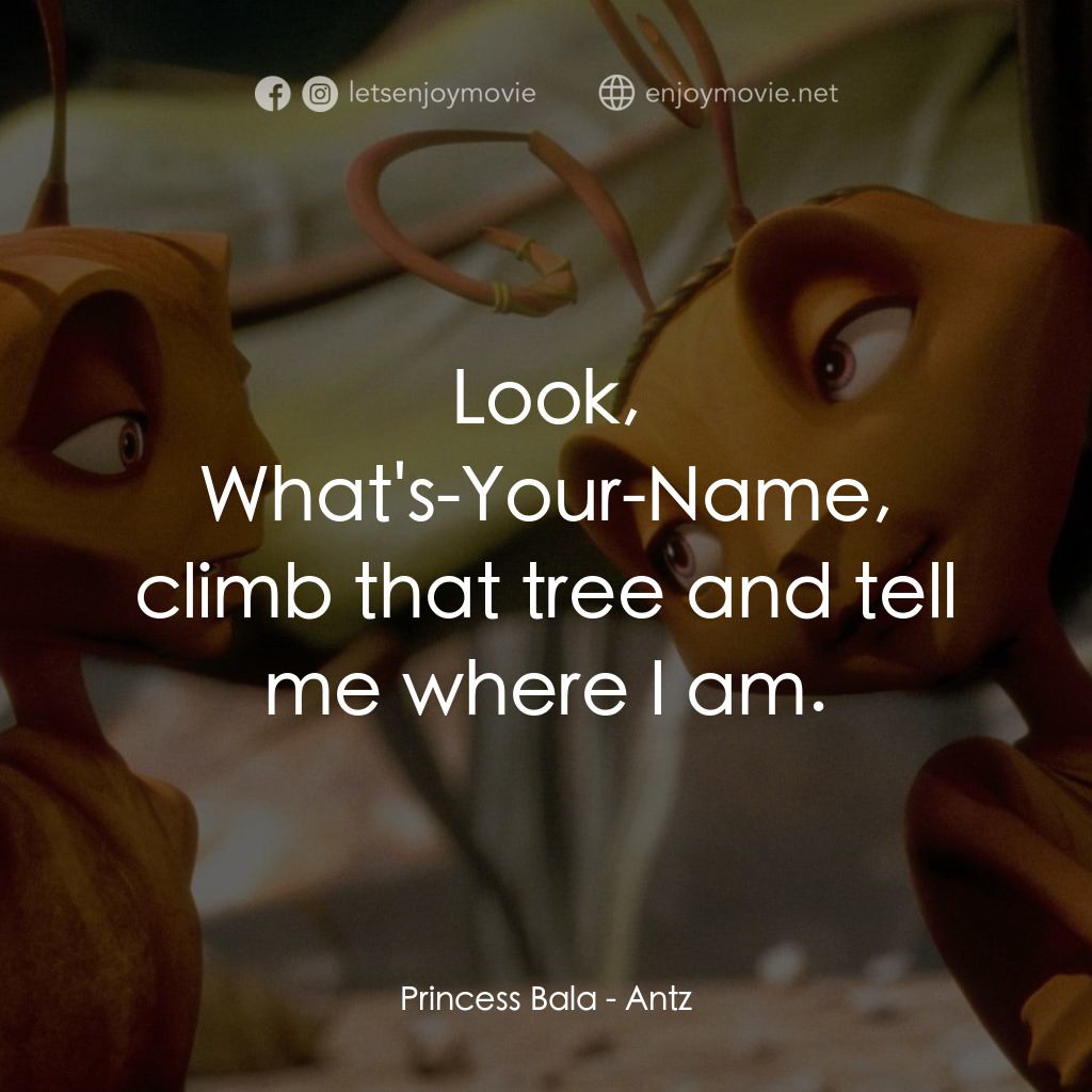 小蟻雄兵電影對白：Princess Bala: Look, What's-Your-Name, climb that tree and tell me where I am.