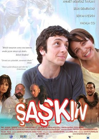 《The Silly》電影海報